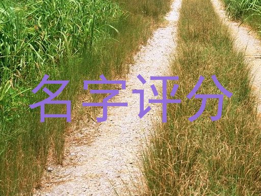 名字评分