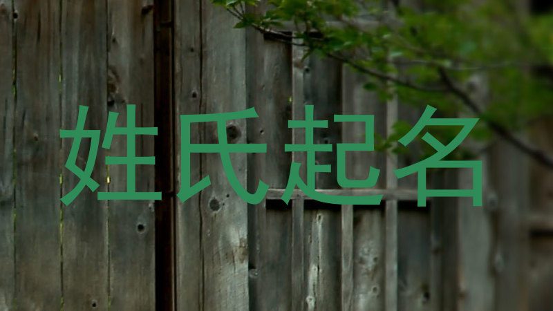 姓氏起名