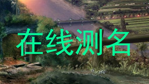 在线测名
