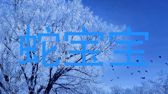 蛇宝宝
