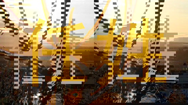 任姓