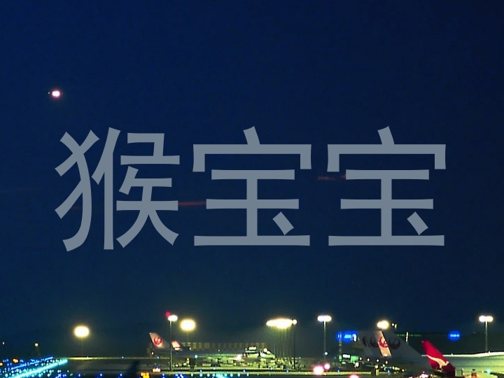 猴宝宝