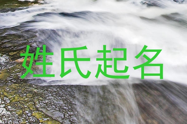 姓氏起名