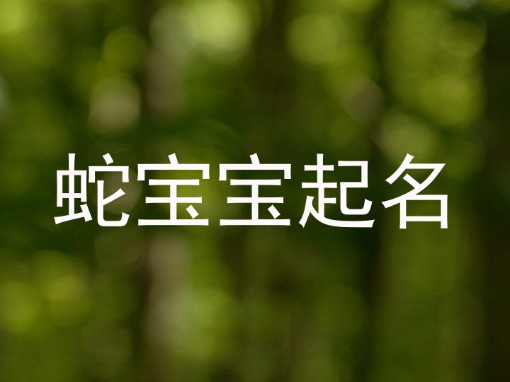 蛇宝宝起名