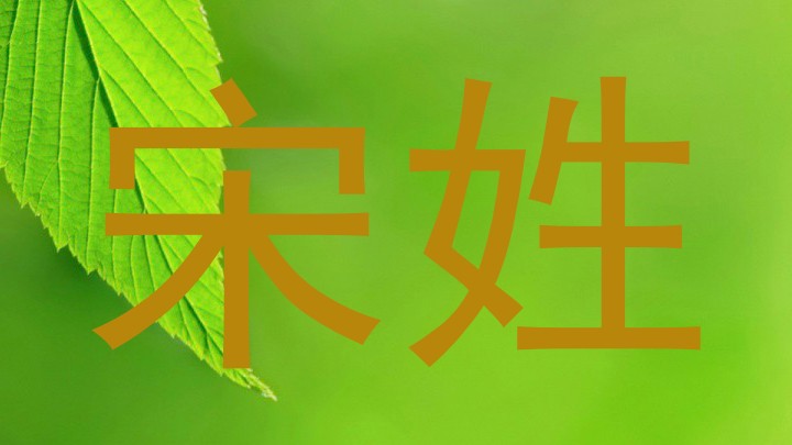 宋姓