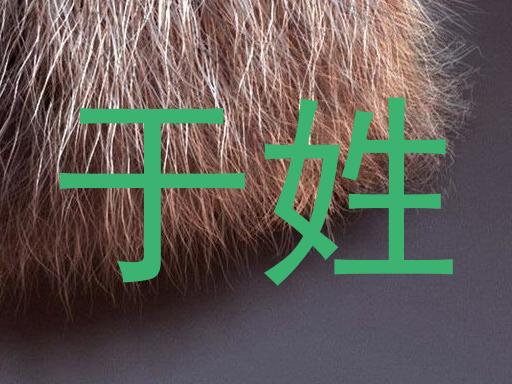 于姓
