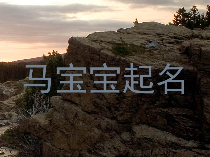 张姓