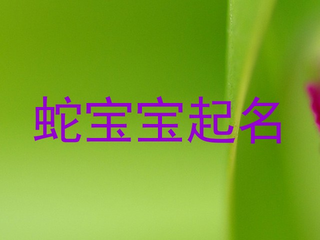 蛇宝宝起名
