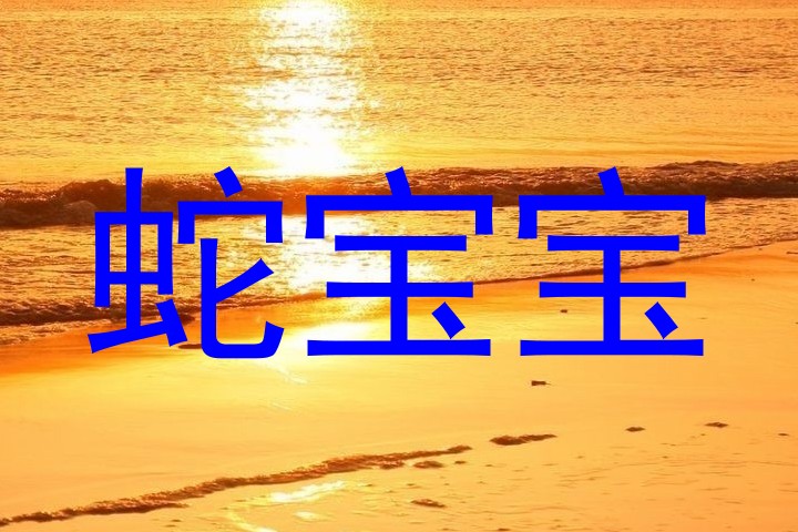 蛇宝宝