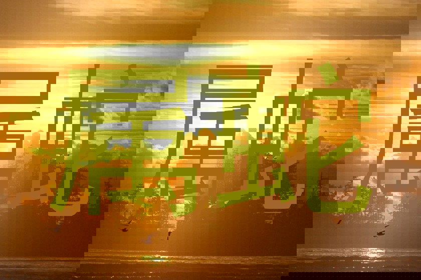 属蛇