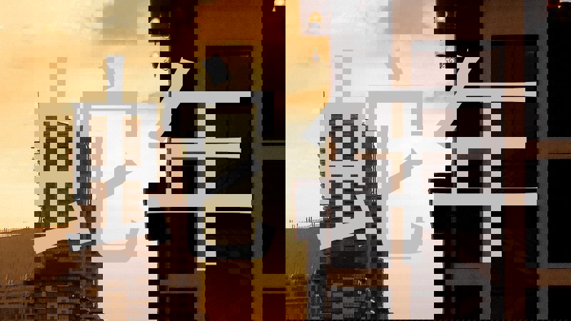 蛇年