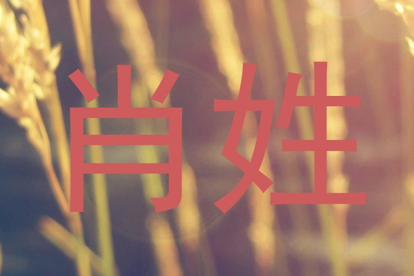 肖姓