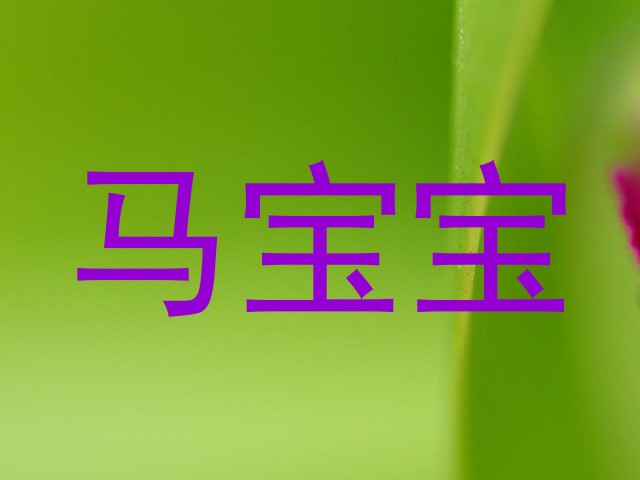 马宝宝