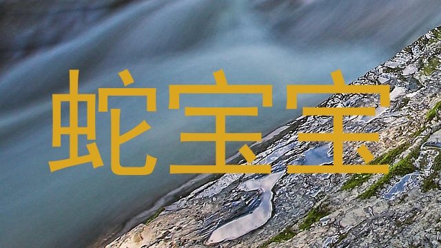 蛇宝宝