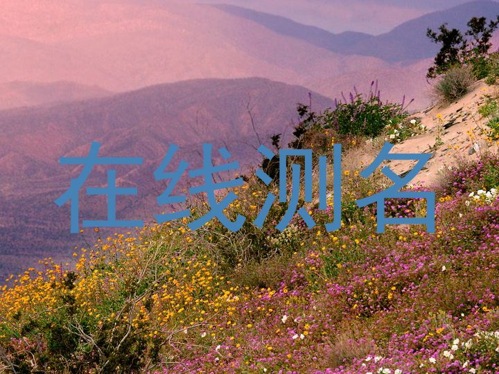 在线测名
