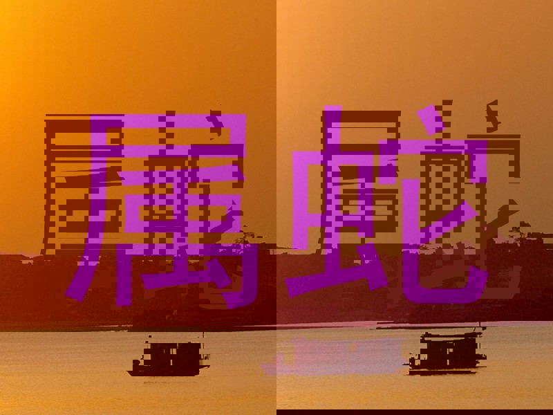 属蛇