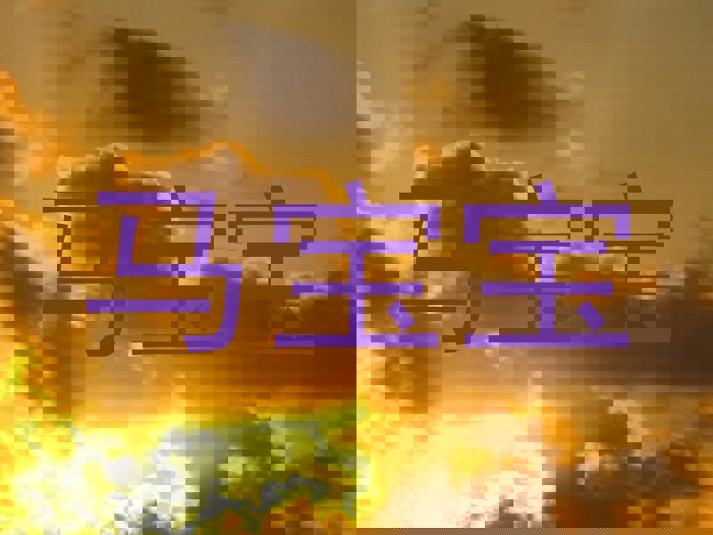 马宝宝