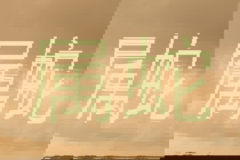 属蛇