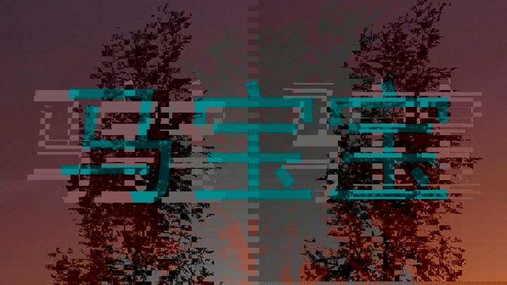 马宝宝