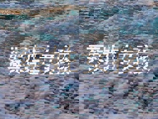 蔡姓女孩