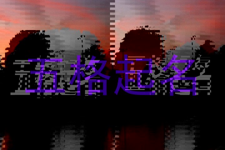 五格起名