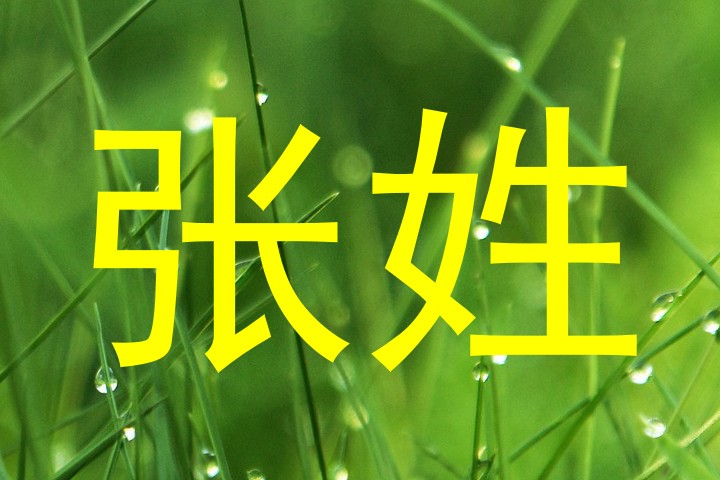 张姓