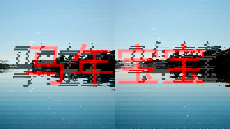 马年宝宝