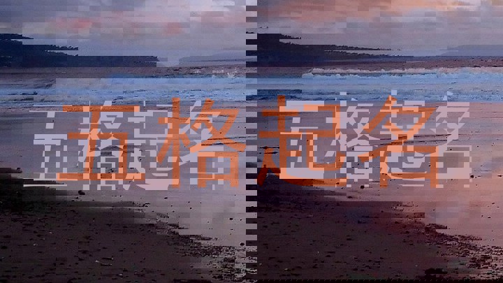 五格起名