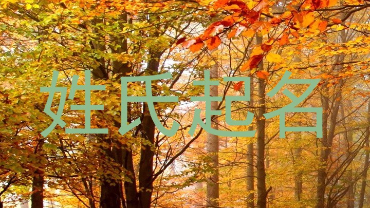 姓氏起名