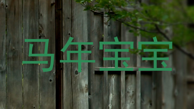 马年宝宝