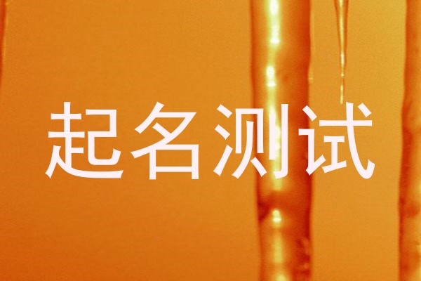 起名测试