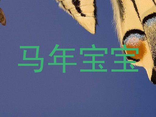 马年宝宝