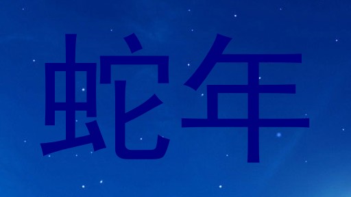 蛇年