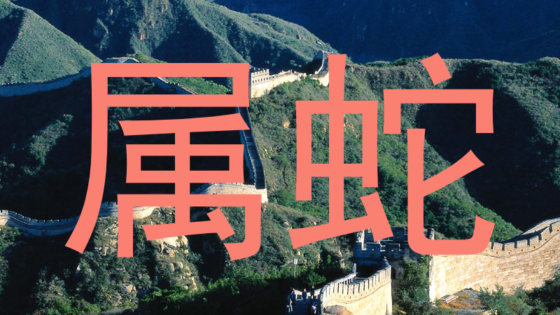 属蛇