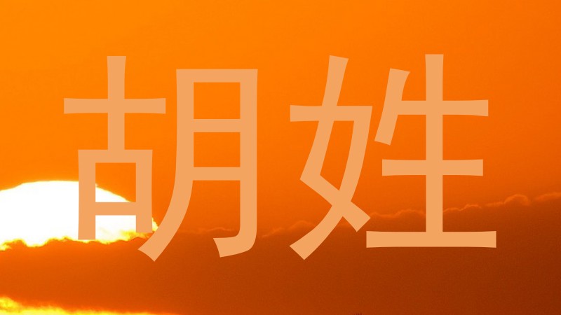 胡姓