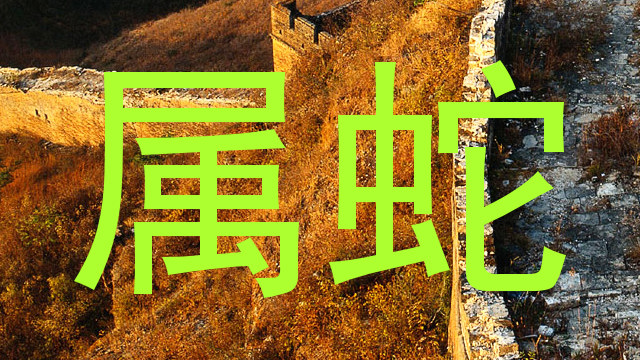 属蛇