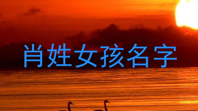 肖姓女孩名字