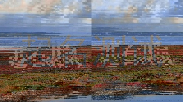 起名测试