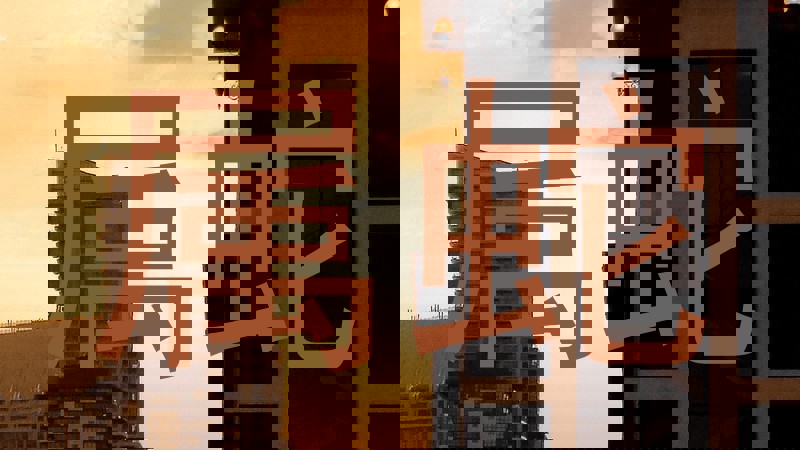 属蛇