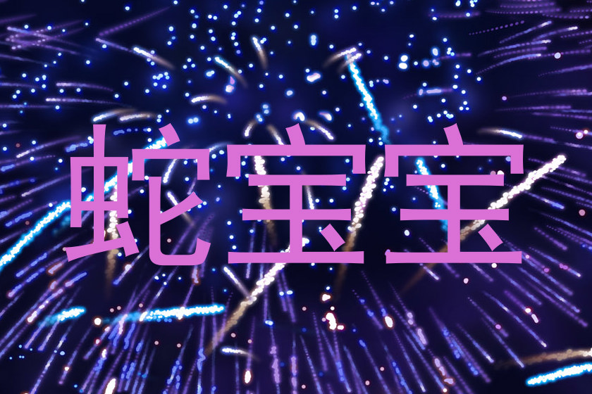蛇宝宝