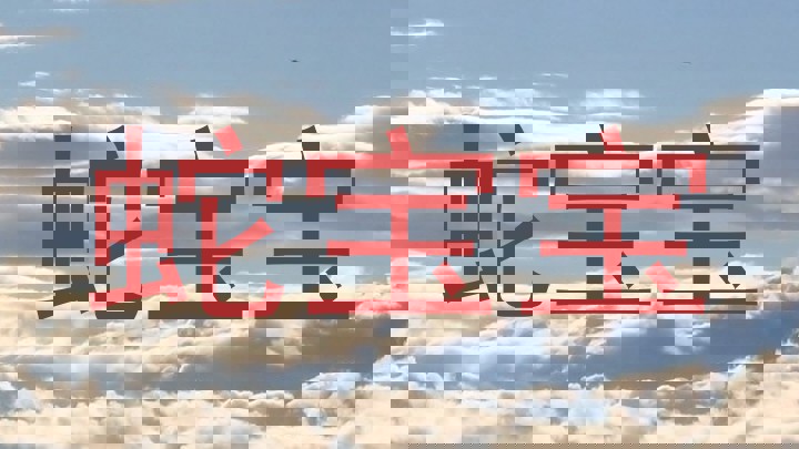 蛇宝宝