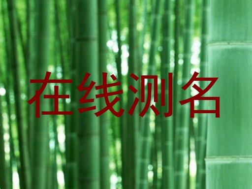 在线测名