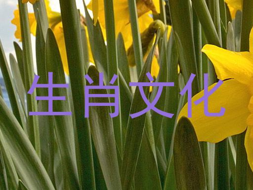 生肖文化
