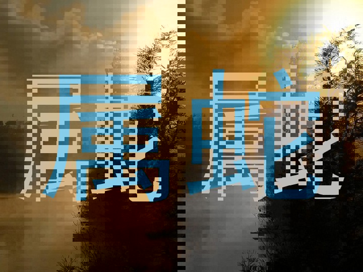 属蛇