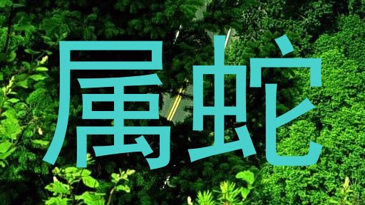 属蛇
