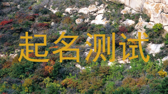 起名测试