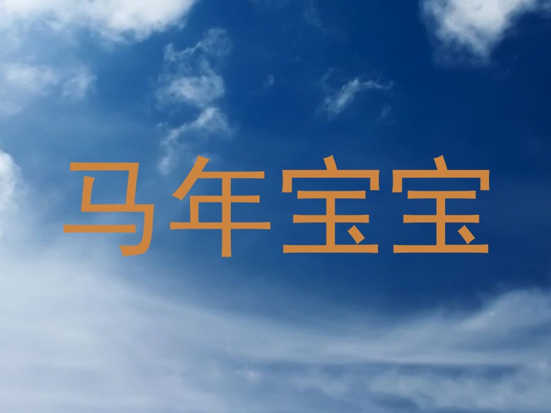 马年宝宝