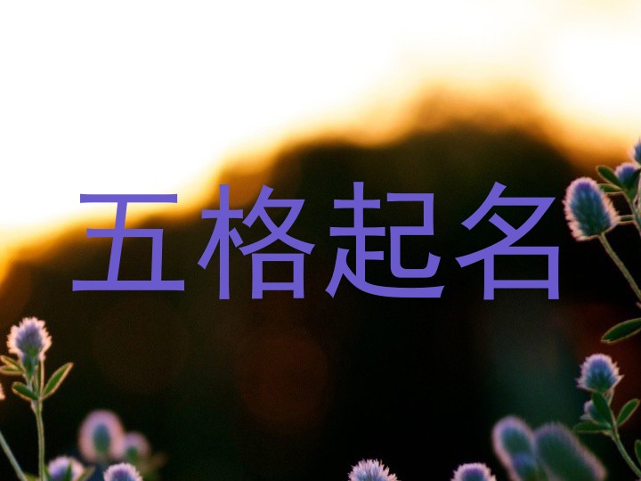 五格起名