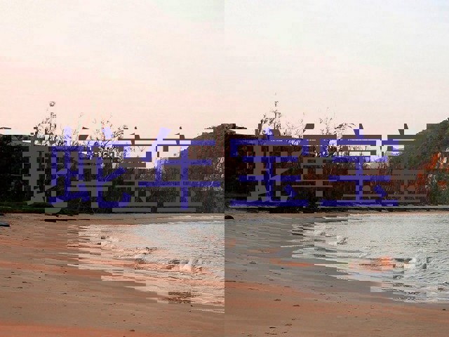蛇年宝宝