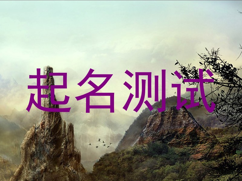 起名测试